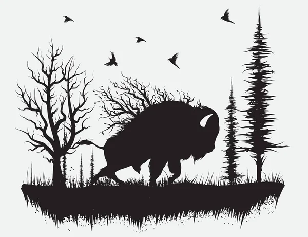 Buffalo caminhando na floresta —  Vetores de Stock