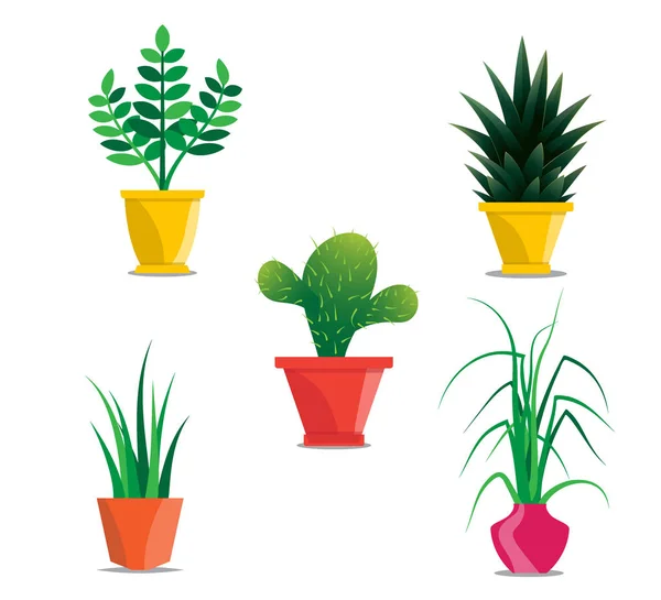 Collection of room plants in pots — Stock Vector