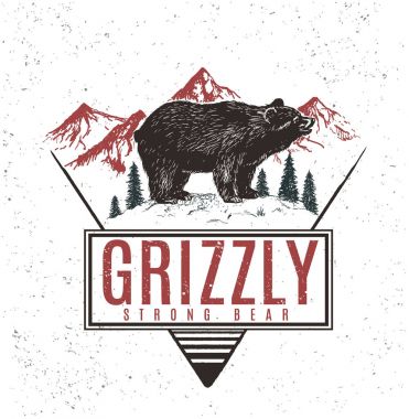 Ayı boz ile eski retro logo