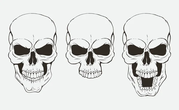 Набор черепов в разных положениях — стоковый вектор