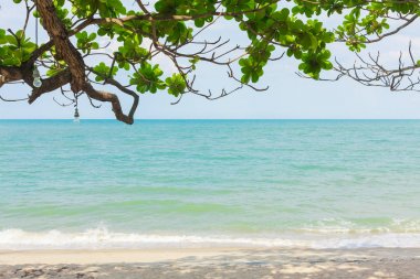 Plaj ve mavi okyanus.