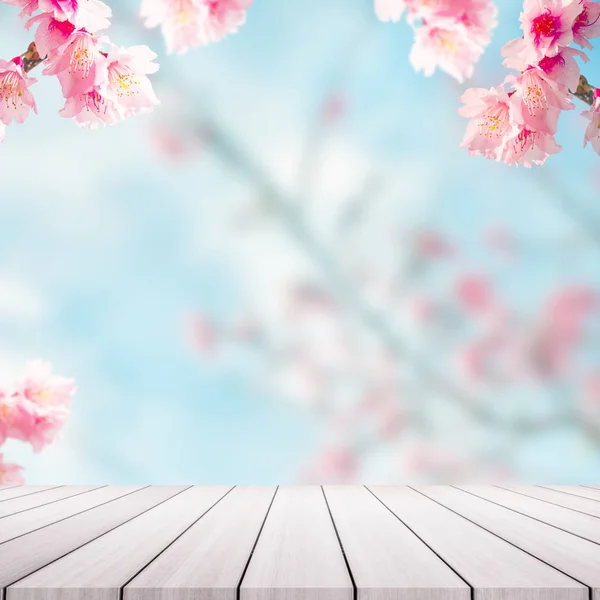 Árboles de flores de cerezo en backgorund. Rosa Sakura flores . — Foto de Stock