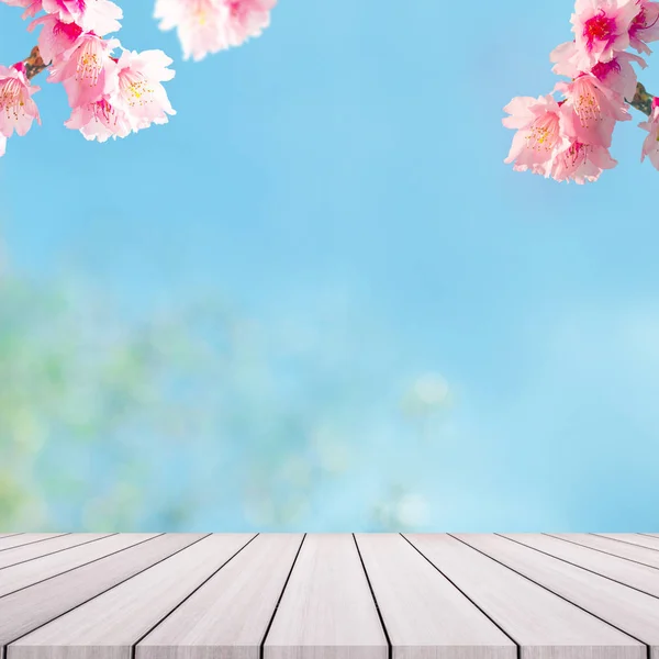 Cherry Blossom bomen op backgorund. Sakura-roze bloemen. — Stockfoto