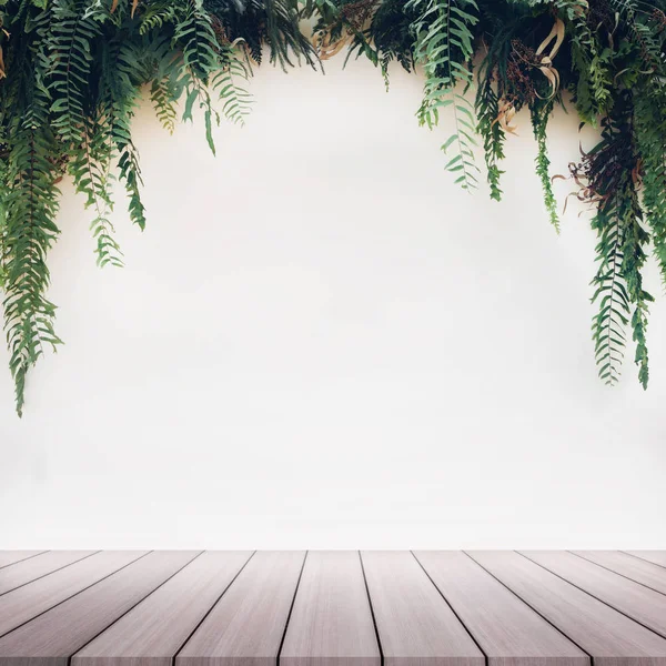 Yeşil yaprakları bitki orman siyah arka plan üzerine.