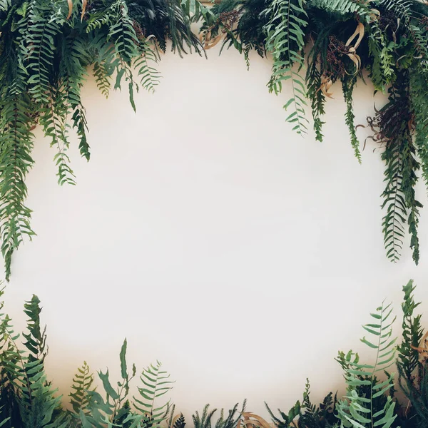 Yeşil yaprakları bitki orman siyah arka plan üzerine.