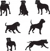 Free Free American Bulldog Svg 781 SVG PNG EPS DXF File