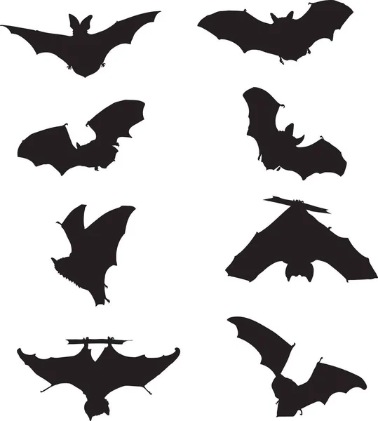 Morcego Morcego Voo Movimento Diferentes Posições Vetor Ilustração Preto Branco —  Vetores de Stock