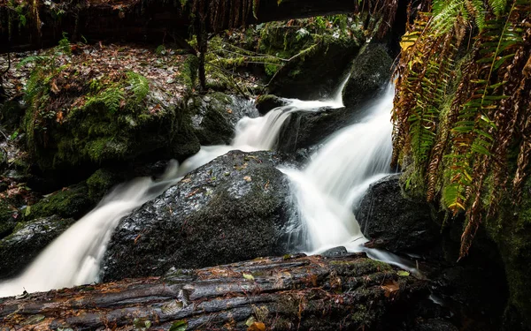 Pequeña cascada en la selva tropical — Foto de Stock