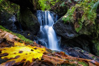Trillium Falls, Orick, Kaliforniya