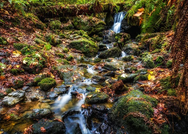 Ruhiger Wasserfall im Herbst — Stockfoto