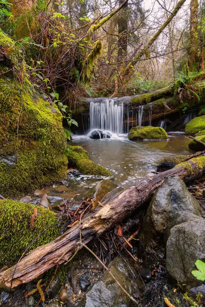 Kleiner Wasserfall in den Bergen Nordkaliforniens — Stockfoto