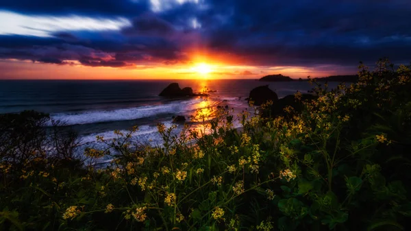 Puesta de sol en el norte de California —  Fotos de Stock