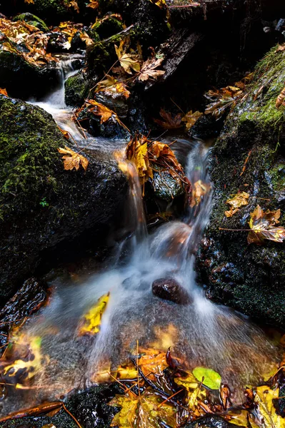 Kleiner Wasserfall und Herbst-Ahornblätter, Nordkalifornien — Stockfoto