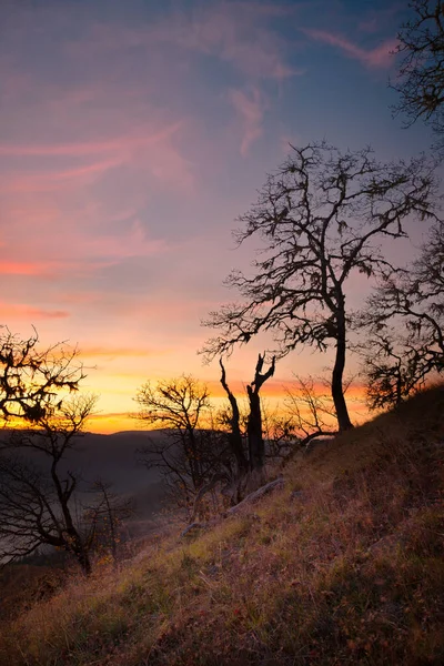 Захід сонця в Лисих пагорбах Північної Каліфорнії. — стокове фото