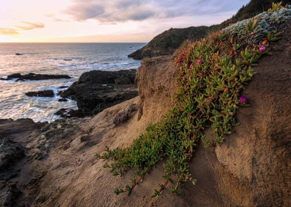 Tramonto su una spiaggia rocciosa della California del Nord — Foto Stock