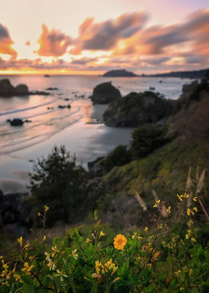 Pôr do sol numa Rocky Northern California Beach — Fotografia de Stock