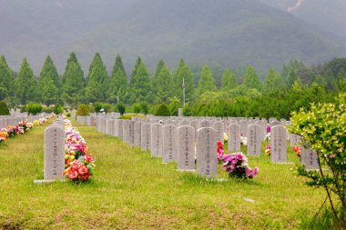 Güney Kore, Daejeon Ulusal Mezarlığı 'ndaki mezar taşları, 25 Mayıs 2016