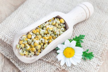 Tahta kepçeyle kurutulmuş papatya çayı. Arka planda papatya çiçeği, yatay.