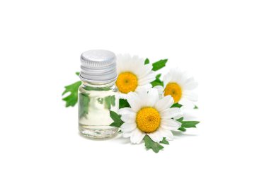 Cam şişedeki papatya yağı. Arka planda taze çiçekler, beyaz renkte izole edilmiş.