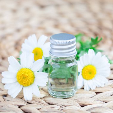 Papatya yağı dokuma hasırı biçiminde bir bardakta