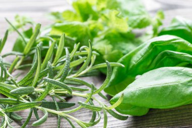 Fesleğen, nane ve biberiye. Ahşap zemin üzerinde duran taze yeşil otlar, yatay, yakın plan