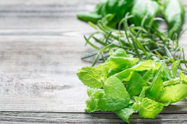 Fesleğen, nane ve biberiye. Ahşap zemin üzerinde duran taze yeşil otlar, yatay, kopyalama alanı