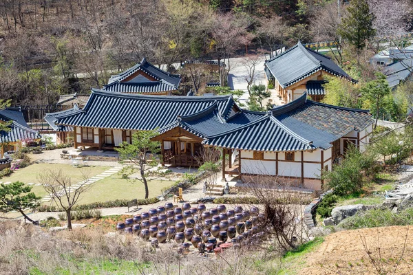 Kimchi Töpfe Vor Traditionellen Koreanischen Häusern Bezirk Wanju Südkorea — Stockfoto