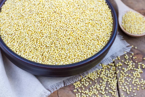 Organic Millet Groats Ceramic Bowl Concept Healthy Eating Horizontal — Stock Photo, Image