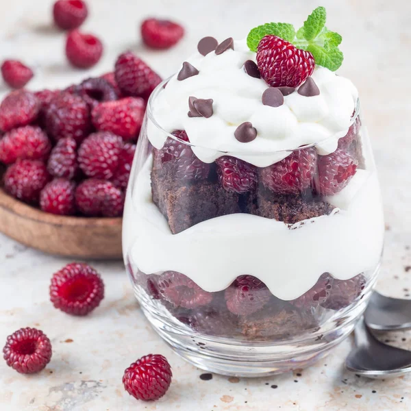 Trifle Dessert Brownie Cream Cheese Frosting Raspberry Glass Square Format — Stock Photo, Image