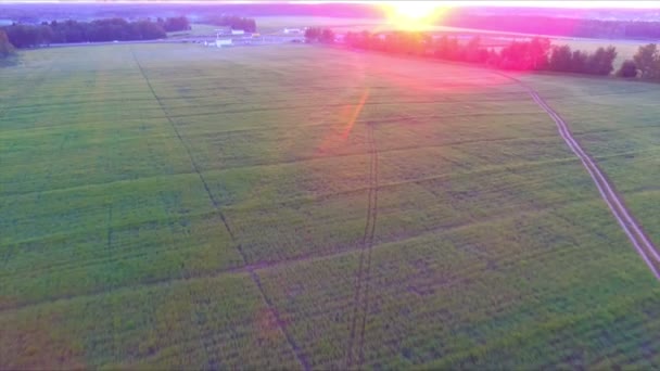 Wschód słońca nad polem farm — Wideo stockowe