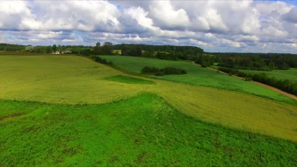 Drone vlucht over de landbouwgrond — Stockvideo