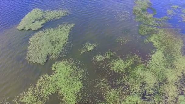Vista de la Aeria en el agua del lago swap — Vídeos de Stock