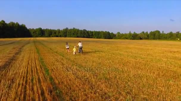 Vater rennt mit glücklichen Kindern durch das abgeschrägte Roggenfeld — Stockvideo