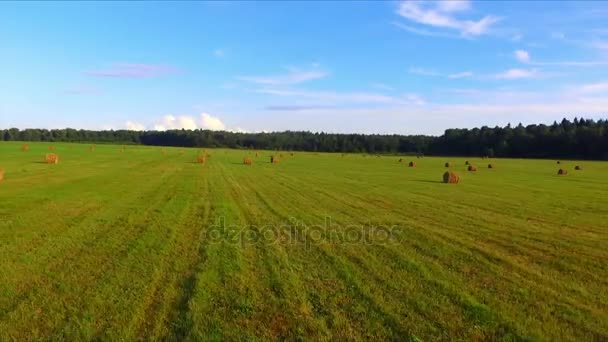 Drone repülés alatt a Szénaboglyák — Stock videók