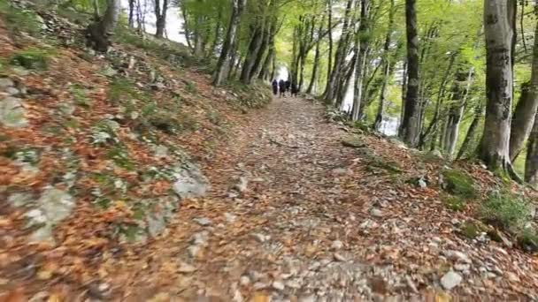Abchazien, nya Athos - 26 oktober 2016: Pilgrimer på väg till kyrkan — Stockvideo