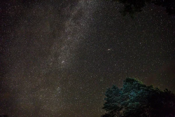 Natt, stjernehimmel, vakre scene – stockfoto
