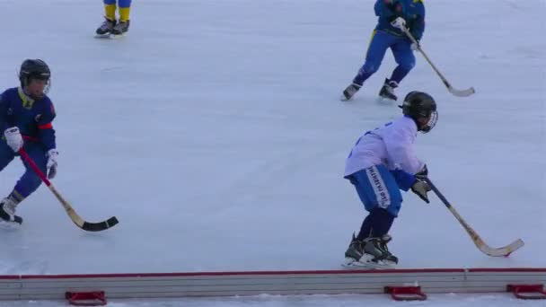 RUSSIA, KRASNOGORSK - DECEMBER 12, 2016: Bandy champiomship of Moscow region children under 12. Zorky-Vimpel 0:9 — Stock Video