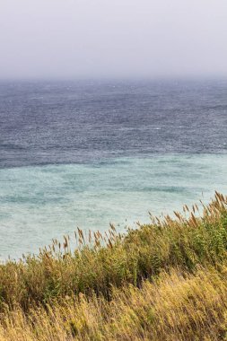Sahil hattı mavi su ve sarı çim ile