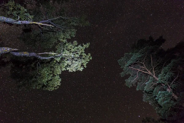 Noche estrellado cielo hermosa escena — Foto de Stock