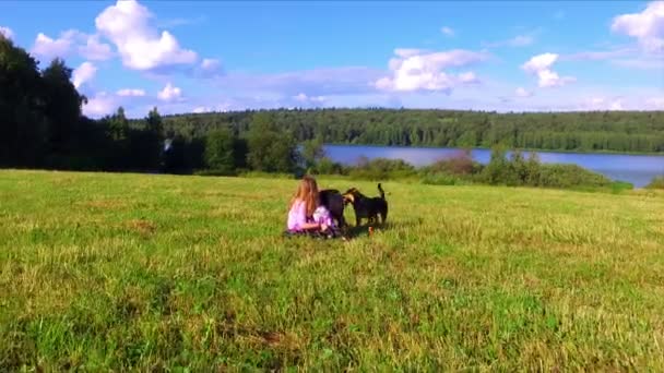 Vrouw zitten in groene veld met twee honden — Stockvideo