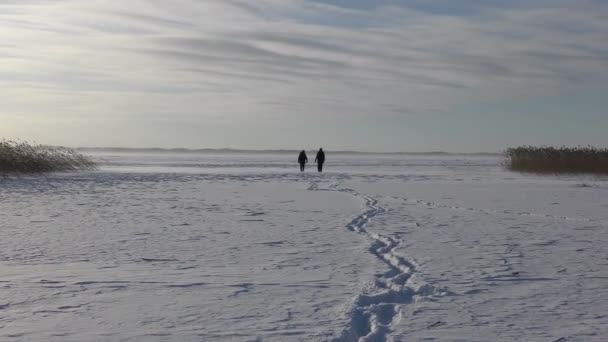 Donmuş karlı göl kenarında yürürken insanlar — Stok video