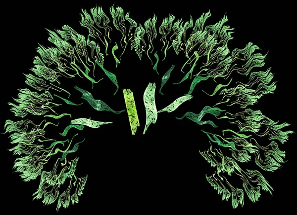 Ilustración fractal abstracta colorida —  Fotos de Stock