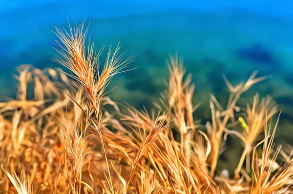 Kleurrijk schilderij van pluizig gele gras — Stockfoto