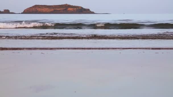 大西洋のビーチ、モロッコのエッサウィラ町付近 — ストック動画