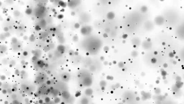 Hermoso bokeh monocromo borrosa puntos fondo luces desenfocadas — Vídeo de stock