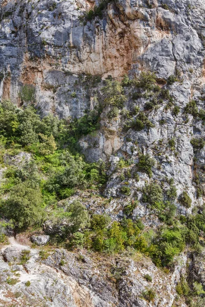 Dağ taşla çalılar görüntüleyin — Stok fotoğraf