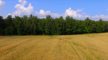 Adam binicilik bisiklet olgun çavdar alana göre