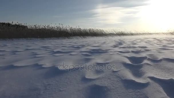 Όμορφο τοπίο με χιονισμένο ανάγλυφη επιφάνεια και ισχυρό άνεμο — Αρχείο Βίντεο