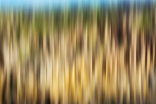 Psychedelische achtergrond op basis van blured landschap afbeelding — Stockfoto