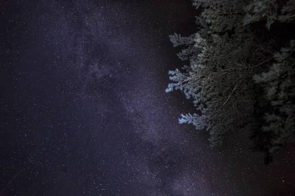 Nacht starry sky mooie scène — Stockfoto